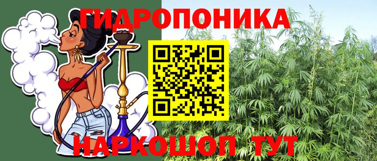 Бошки Шишки LSD WEED  Конопля семена  Балаково  Вход с VPN  Бошки марихуана ГИДРОПОН 